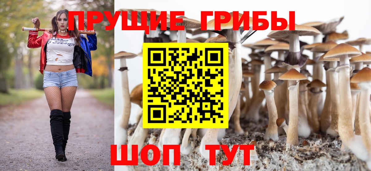 Псилоцибиновые грибы мицелий  продажа наркотиков  Вход с VPN  Костомукша  Псилоцибиновые грибы GOLDEN TEACHER 